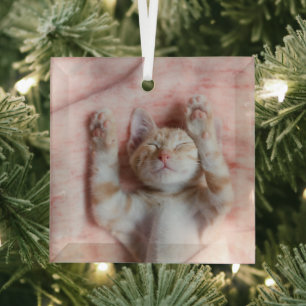 Niedliche Kleintiere Tiny Orange Striped Kitten Ornament Aus Glas