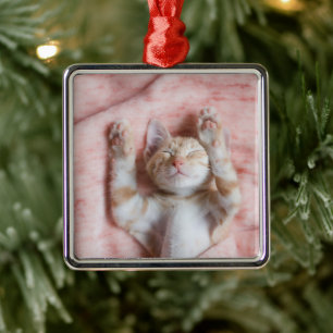 Niedliche Kleintiere Tiny Orange Striped Kitten Ornament Aus Metall