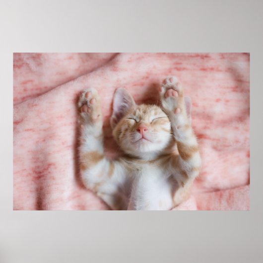 Niedliche Kleintiere | Tiny Orange Striped Kitten Poster (Vorne)