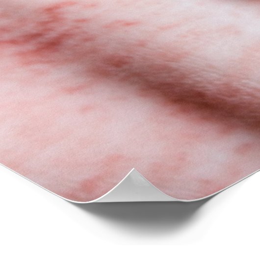 Niedliche Kleintiere | Tiny Orange Striped Kitten Poster (Ecke)