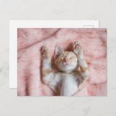 Niedliche Kleintiere | Tiny Orange Striped Kitten Postkarte (Vorne/Hinten)