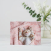 Niedliche Kleintiere | Tiny Orange Striped Kitten Postkarte (Stehend Vorderseite)