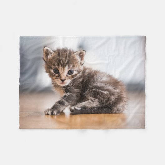 Niedliche Kleintiere | Tiny Tabby Kitten Fleecedecke (Vorderseite (Horizontal))
