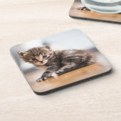 Niedliche Kleintiere | Tiny Tabby Kitten Getränkeuntersetzer (Linke Seite)