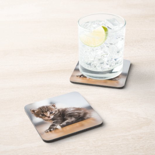 Niedliche Kleintiere | Tiny Tabby Kitten Getränkeuntersetzer (Rechte Seite)