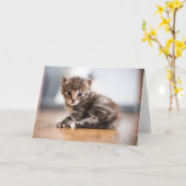 Niedliche Kleintiere | Tiny Tabby Kitten Karte (Gelbe Blume)