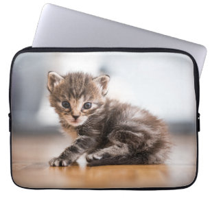 Niedliche Kleintiere Tiny Tabby Kitten Laptopschutzhülle