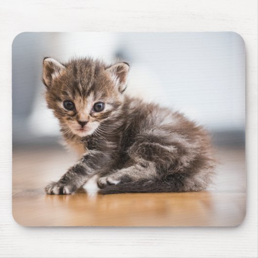 Niedliche Kleintiere | Tiny Tabby Kitten Mousepad (Vorne)