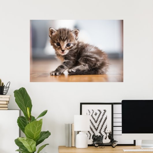 Niedliche Kleintiere | Tiny Tabby Kitten Poster (Heimbüro)
