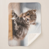 Niedliche Kleintiere | Tiny Tabby Kitten Sherpadecke (Vorderseite)