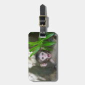 Niedliche Kleintiere | Überraschender Schneeaffe Gepäckanhänger (Vorderseite vertikal)