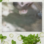 Niedliche Kleintiere | Überraschender Schneeaffe Geschirrtuch (Gefaltet)