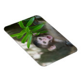 Niedliche Kleintiere | Überraschender Schneeaffe Magnet (Rechte Seite)