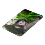 Niedliche Kleintiere | Überraschender Schneeaffe Magnet (Linke Seite)