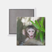 Niedliche Kleintiere | Überraschender Schneeaffe Magnet (Vorderseite/Rückseite)