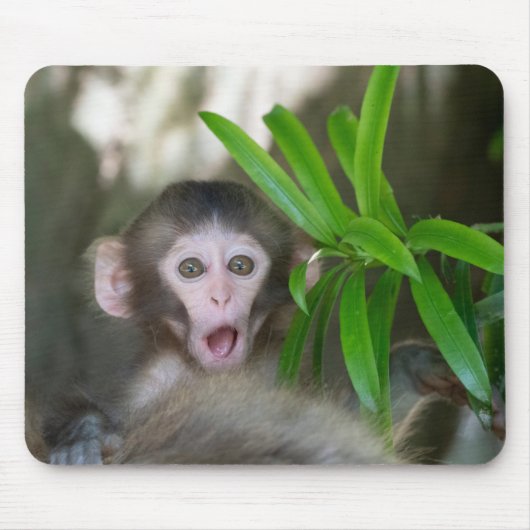 Niedliche Kleintiere | Überraschender Schneeaffe Mousepad (Vorne)