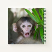 Niedliche Kleintiere | Überraschender Schneeaffe Notizblock (Rückseite)