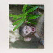 Niedliche Kleintiere | Überraschender Schneeaffe Puzzle (Vertikal)
