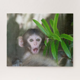 Niedliche Kleintiere   Überraschender Schneeaffe Puzzle