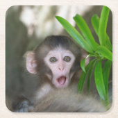 Niedliche Kleintiere | Überraschender Schneeaffe Rechteckiger Pappuntersetzer (Vorderseite)