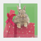 Niedliche Kleintiere | Weihnachtsfeiertag Ornament Aus Glas (Vorderseite)