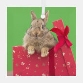 Niedliche Kleintiere | Weihnachtsfeiertag Ornament Aus Glas (Rückseite)