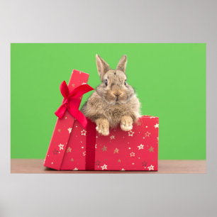 Niedliche Kleintiere Weihnachtsfeiertag Poster