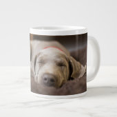 Niedliche Kleintiere | Weimaraner Welpenschlafen Jumbo-Tasse (Vorderseite Rechts)