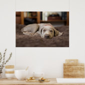Niedliche Kleintiere | Weimaraner Welpenschlafen Poster (Küche)