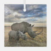 Niedliche Kleintiere | Weißer Rhino und Kalb Ornament Aus Glas (Vorderseite)