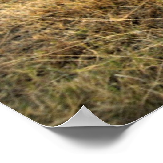 Niedliche Kleintiere | Weißer Rhino und Kalb Poster (Ecke)