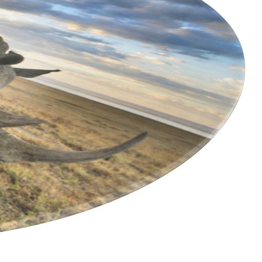 Niedliche Kleintiere | Weißer Rhino und Kalb Schneidebrett (Ecke)