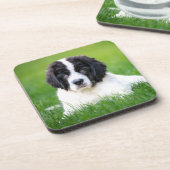 Niedliche Kleintiere | Welpe Getränkeuntersetzer (Linke Seite)