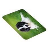 Niedliche Kleintiere | Welpe Magnet (Rechte Seite)