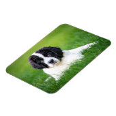 Niedliche Kleintiere | Welpe Magnet (Linke Seite)