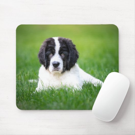 Niedliche Kleintiere | Welpe Mousepad (Mit Mouse)