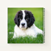 Niedliche Kleintiere | Welpe Notizblock (Rückseite)