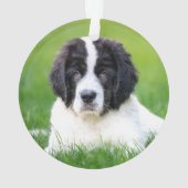Niedliche Kleintiere | Welpe Ornament (Rückseite)
