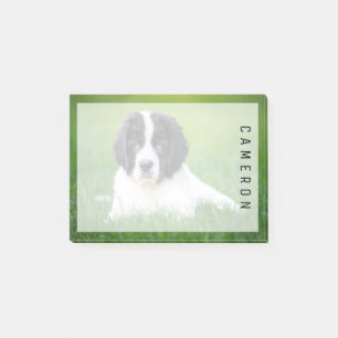 Niedliche Kleintiere Welpe Post-it Klebezettel