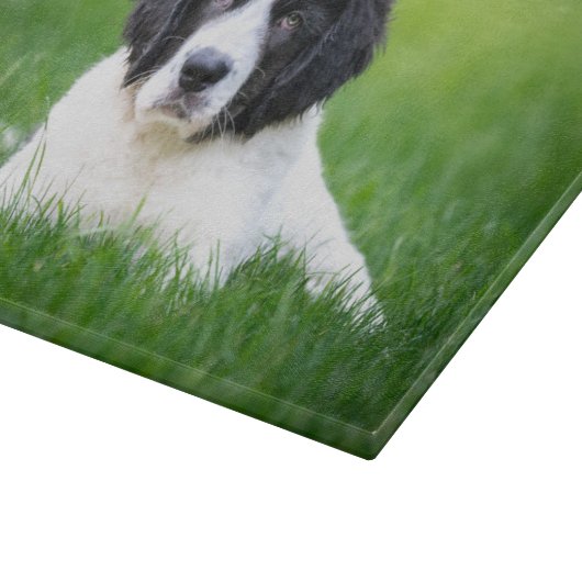 Niedliche Kleintiere | Welpe Schneidebrett (Ecke)