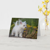 Niedliche Kleintiere | West Highland White Terrier Karte (Gelbe Blume)