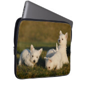 Niedliche Kleintiere | West Highland White Terrier Laptopschutzhülle (Vorne Rechts)