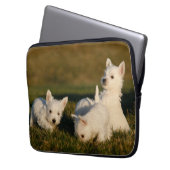 Niedliche Kleintiere | West Highland White Terrier Laptopschutzhülle (Vorderseite Links)