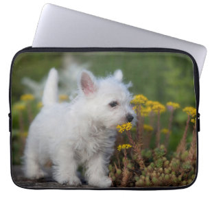 Niedliche Kleintiere   West Highland White Terrier Laptopschutzhülle