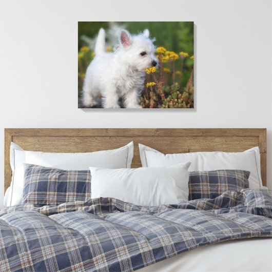 Niedliche Kleintiere | West Highland White Terrier Leinwanddruck (Insitu (Schlafzimmer))