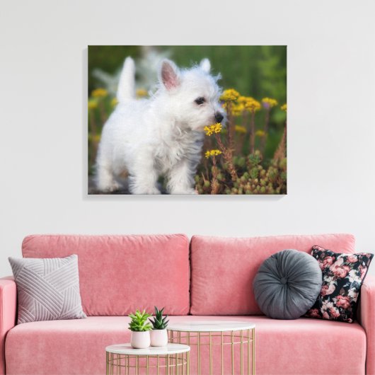 Niedliche Kleintiere | West Highland White Terrier Leinwanddruck (Insitu (Wohnzimmer))