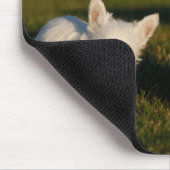 Niedliche Kleintiere | West Highland White Terrier Mousepad (Ecke)