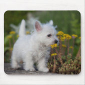 Niedliche Kleintiere | West Highland White Terrier Mousepad (Vorne)