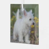 Niedliche Kleintiere | West Highland White Terrier Ornament Aus Glas (Vorderseite links)