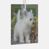 Niedliche Kleintiere | West Highland White Terrier Ornament Aus Glas (Vorderseite Rechts)